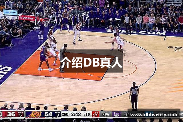 介绍DB真人